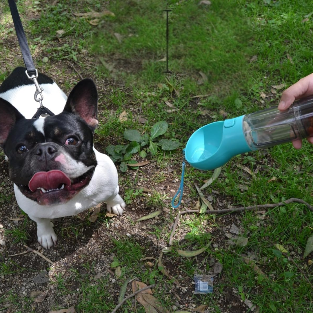 Botella portátil para mascotas